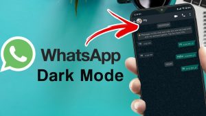Comment utiliser WhatsApp en mode sombre – iOS et Android